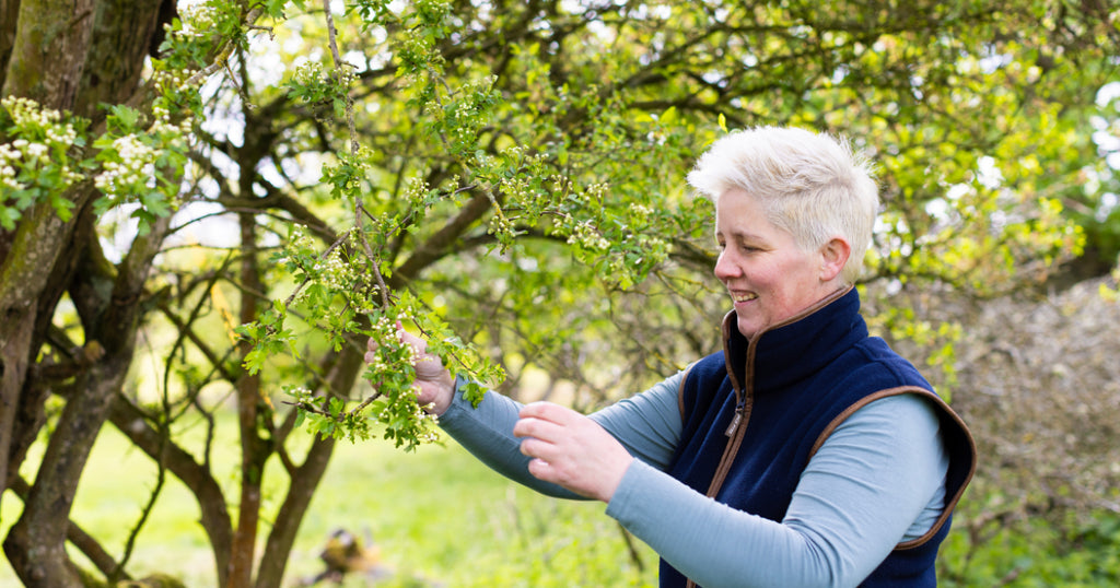 IWD 2026: Give to Gain - Empowering Women in Organic Beauty