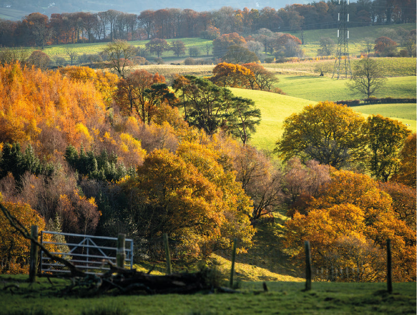 Places to see and things to do in North Wales