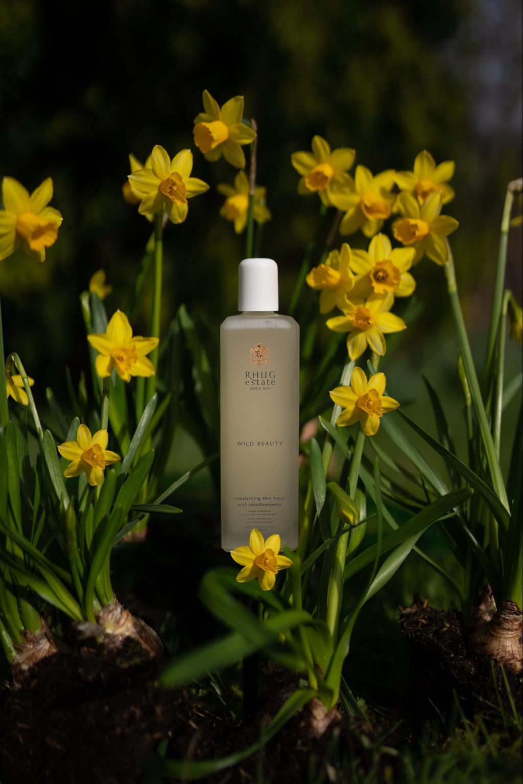 How to Get Rid of Oily Skin Naturally: A Complete Guide