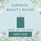 Surprise Beauty Box