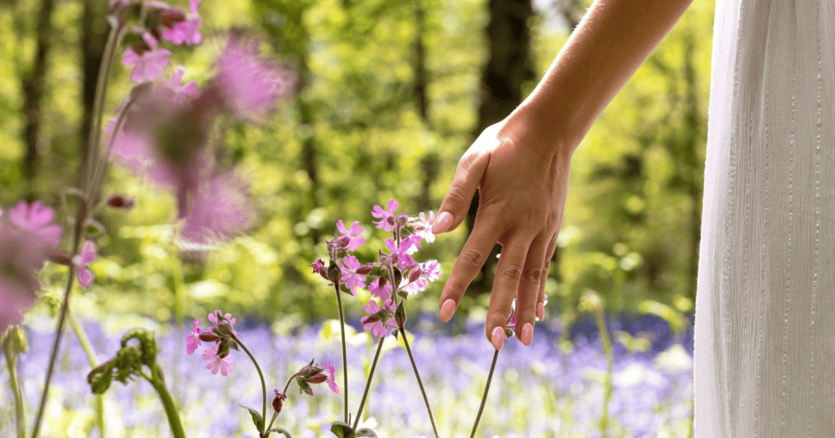 A woman's hand touching campion flowers